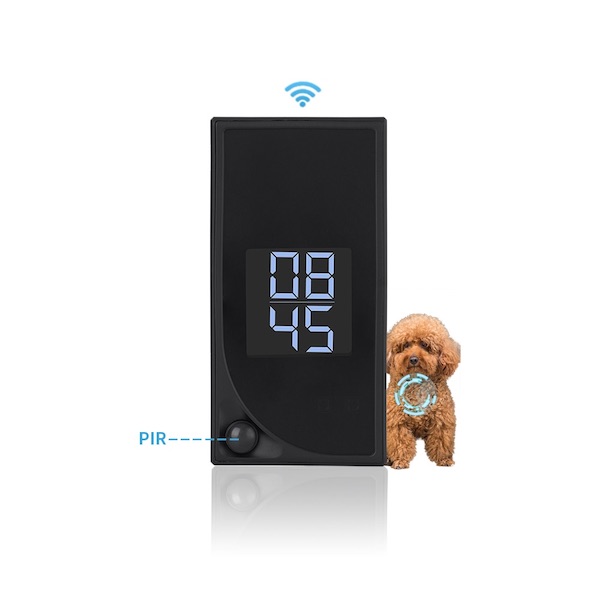 wifi clock pir spy camera with a dog triggering motion